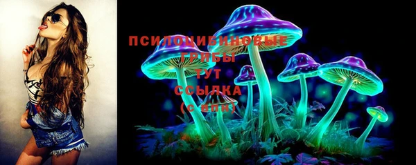 PSILOCYBIN Верхний Тагил